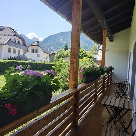 Apartma Zerjav * كْرانْيِسكا غورا
